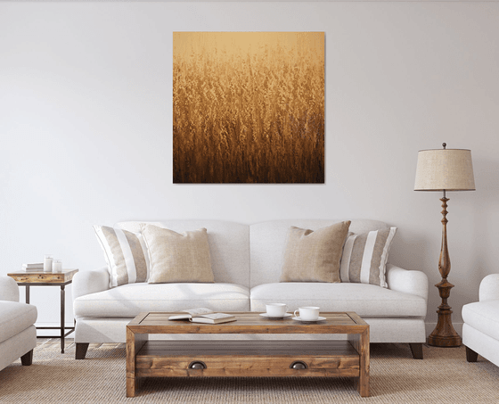 Field of Wheat