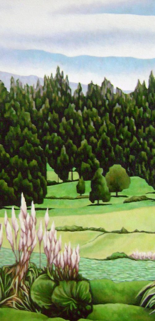 Paisaje Cerca a Latacunga by Marcelo Villacrés