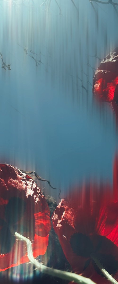 Spring preludei by Nektaria Thalia