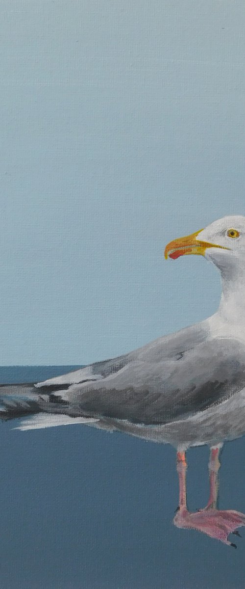 Seagull by Nichola Artemenko