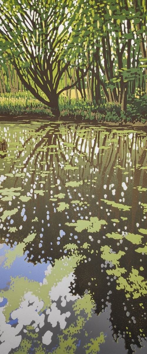 Summer Woodland Pond by Alexandra Buckle