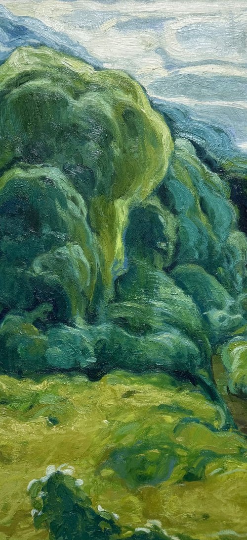 ''Forest'' by Raffi Ghazaryan