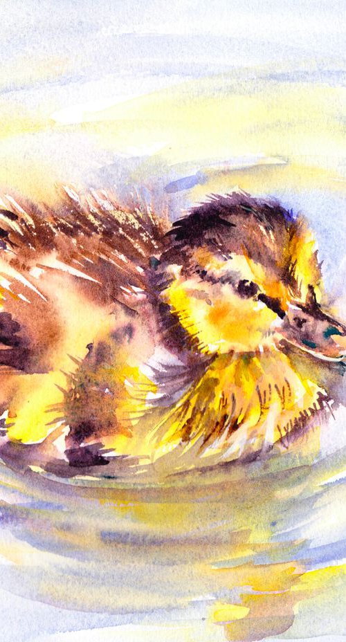 Duckling by Anjana Cawdell