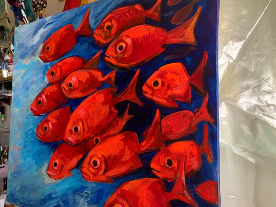 Red fish