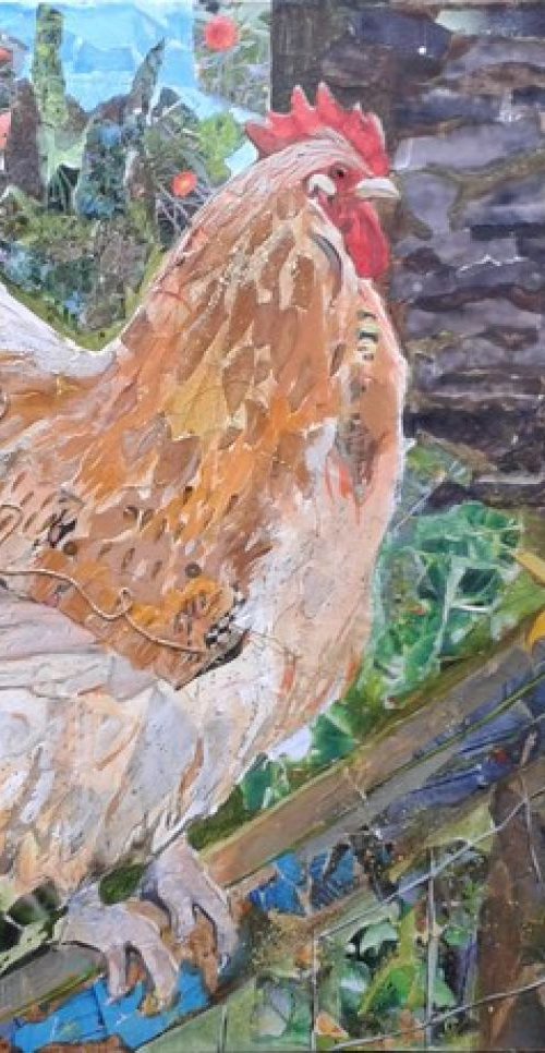 Orpington Cockerel by Fiona Plaisted