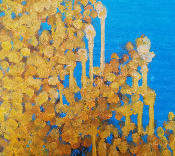 Crying mimosa. 50x60 cm. Was exhibited in MEAM. Mimosa piangente