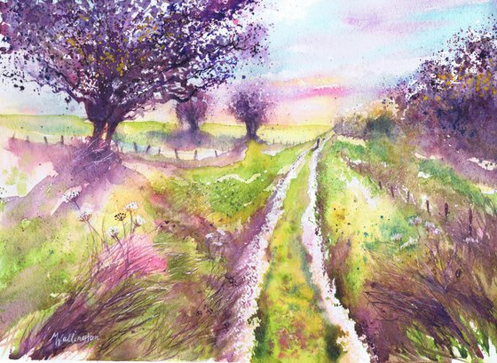 Hawthorns by the Ridgeway