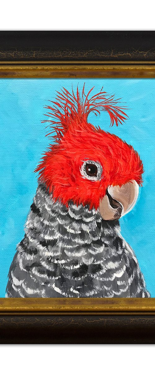 Gang-gang cockatoo portrait by Irina Redine