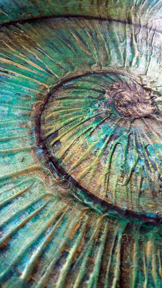 Ammonite