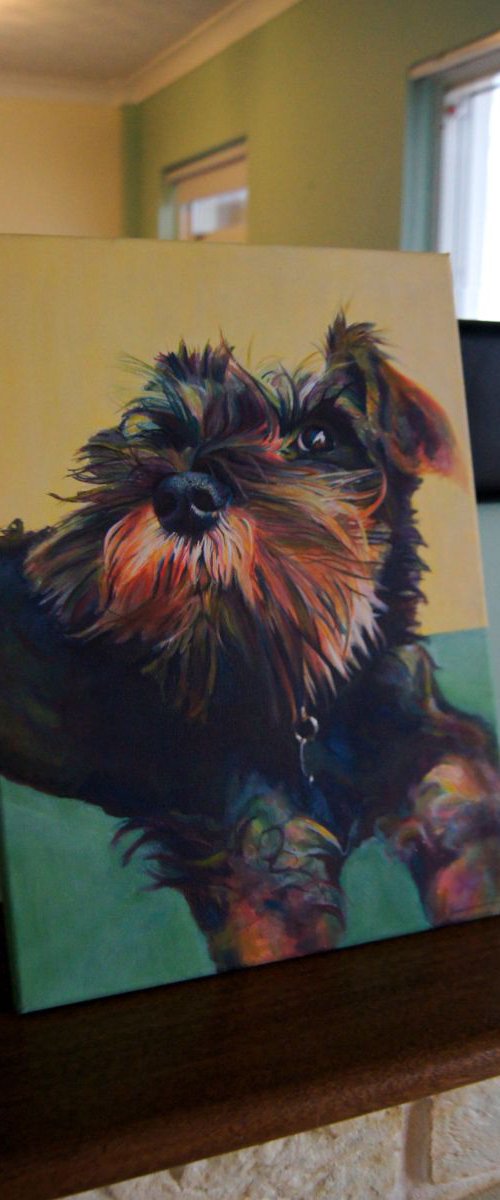 Harry by Karen Wilcox