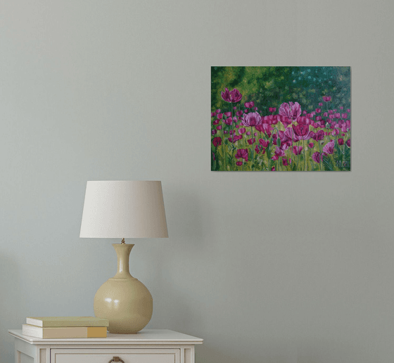 Field of pink poppies