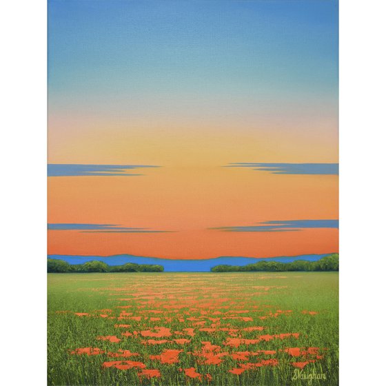 Poppy Field - Colorful Flower Field Landscape