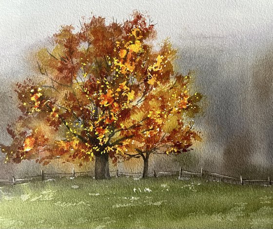 Autumn tree