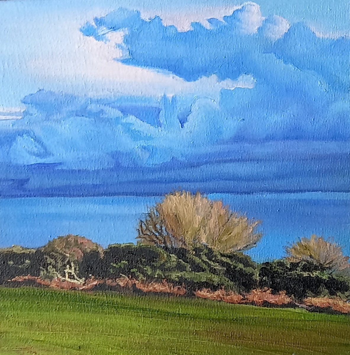 Lisa Punter | Original  Oil Painting | Winter Light On The East Hill | 20 X 20Cm | Artwork For Sale On Artfinder