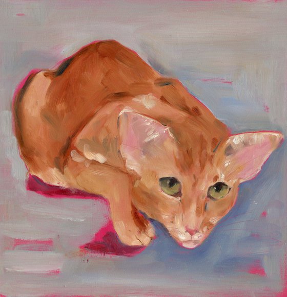 Cat 13
