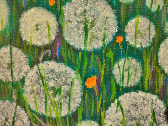 DANDELION DREAMS