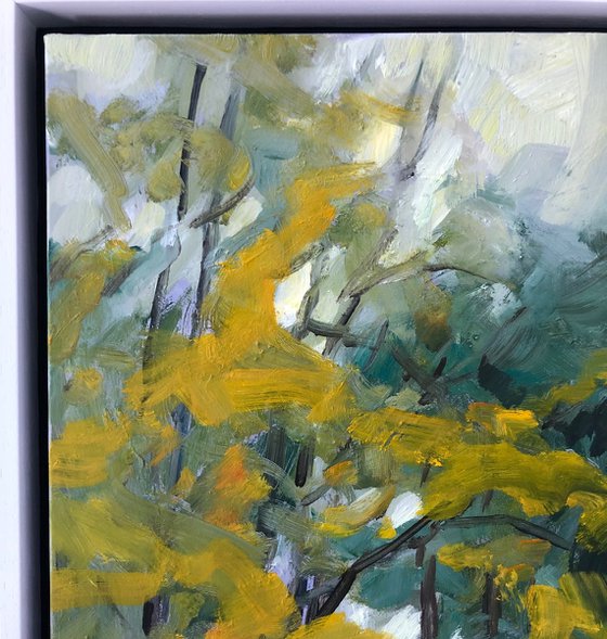 traipsing the leaves