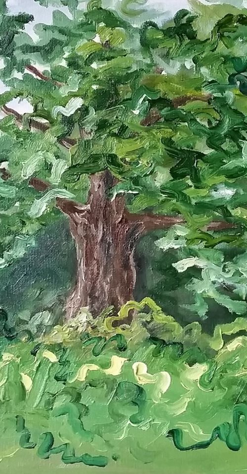 Witness Tree by Katrina Case