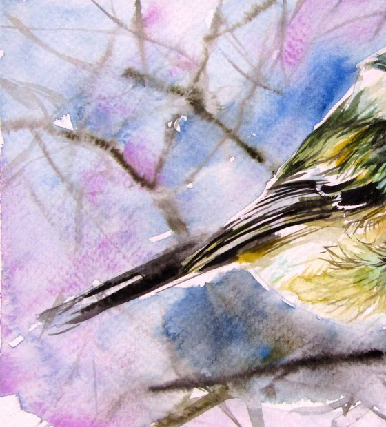 Great tit