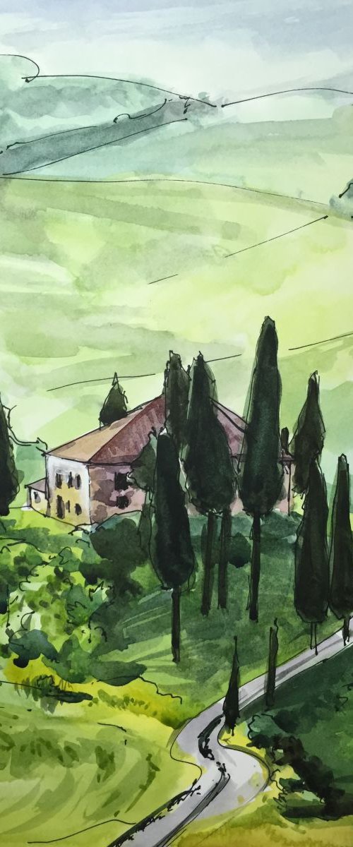 Tuscan Wineyard, Tuscany - Italy by Joseph Peter D'silva