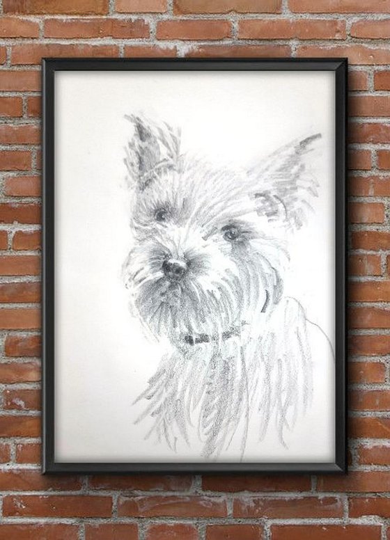 Terrier Portrait  Pet Dog sketch