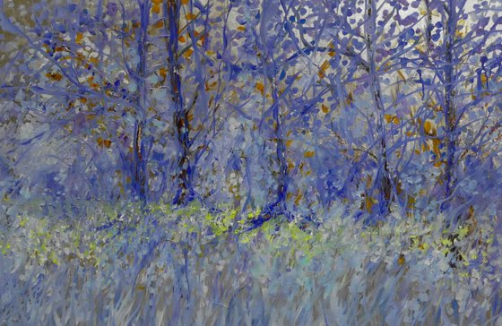 Silver Bluebells