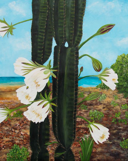 Caribbean Cactus by Steven Fleit