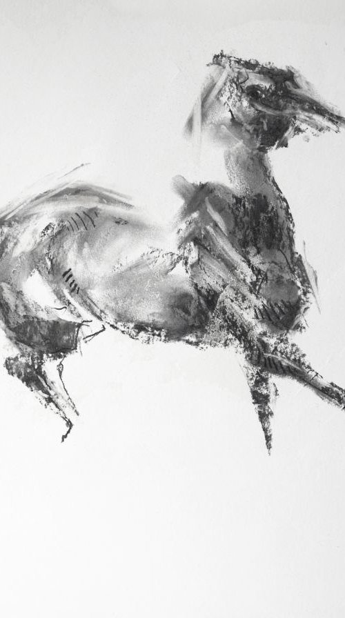 Equine Nude 7p by Benedicte Gele