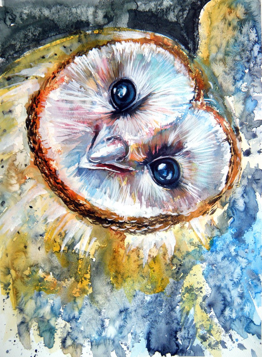 Impressionistic Watercolour , Barn Owl By Kovacs Anna Brigitta, 15 X 21, Artwork For Sale On Artfinder