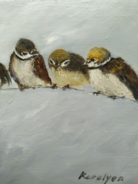 Sparrows