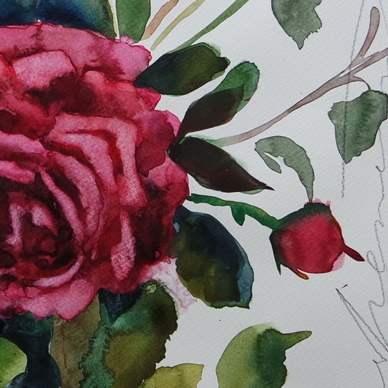 A Single Rose in Watercolor Floral Painting