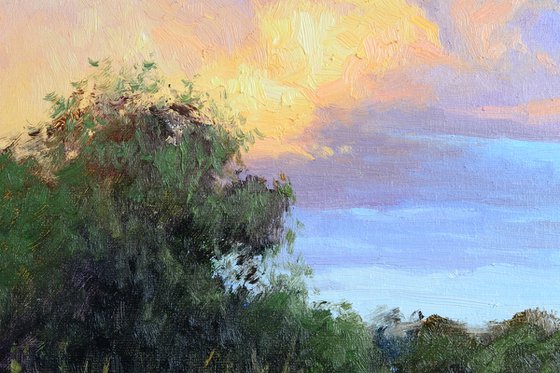 Cloud in the evening