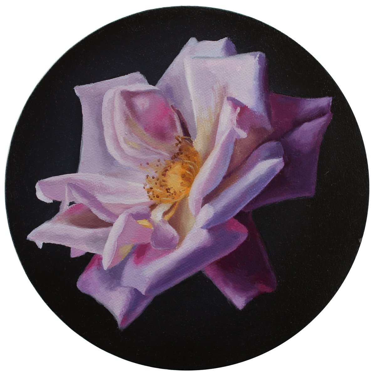 Summer dream. A rose the color of lilac. by Natalia Zhukova