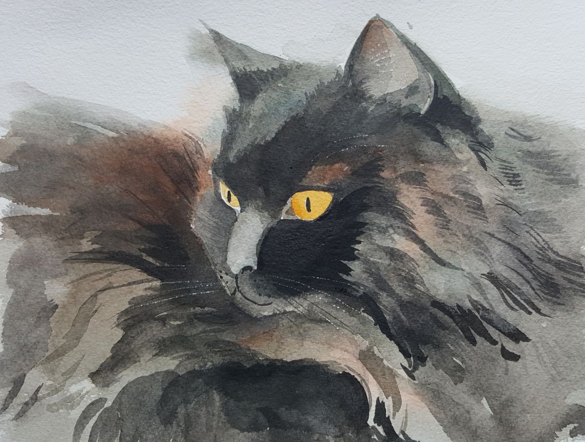 Amber Eyes cat painting by Mary Stubberfield