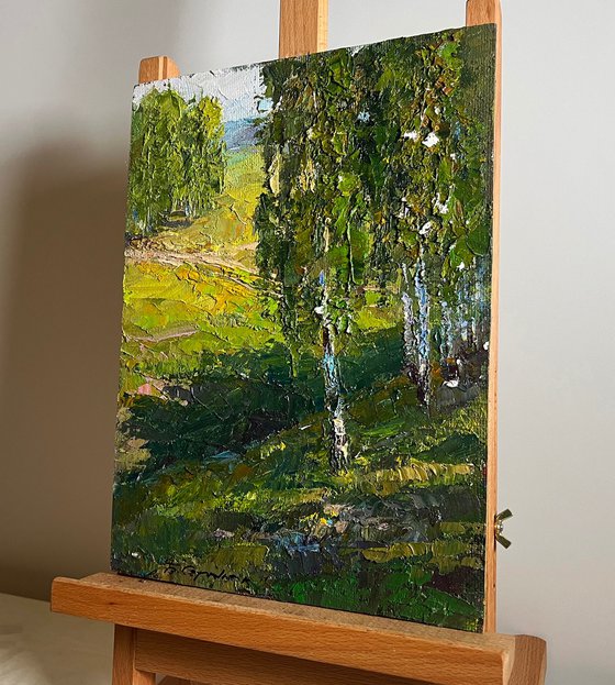 Sunny Day in the Birch Forest