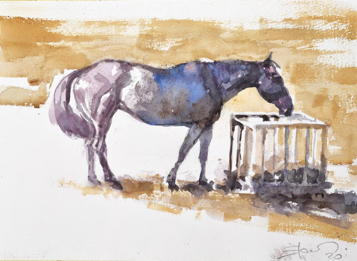 Expressive Animal Watercolour By Goran Zigolic Watercolors, 15 X 11, Horse, Original Artwork