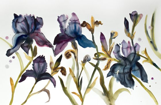 Irises No. 4