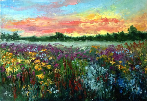 Meadow at sunset