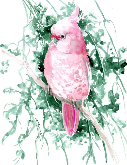 Pink Cockatoo by Suren Nersisyan