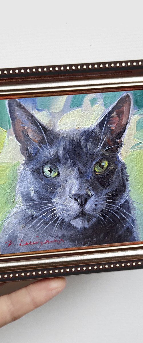 Custom cat portrait by Nataly Derevyanko