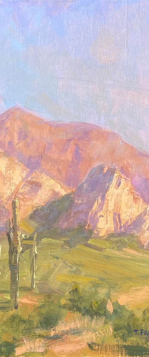 Desert Spring plein air by Tatyana Fogarty