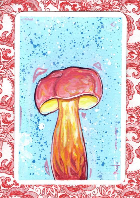 Two coloured bolete