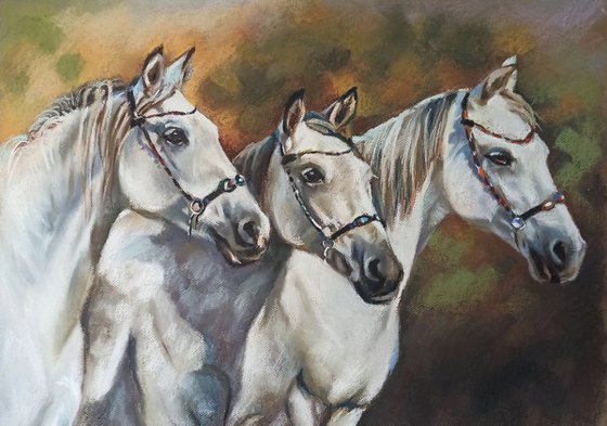 Three gray horses