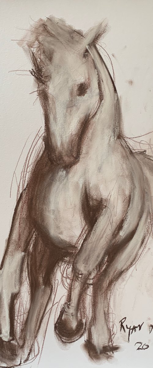 White Horse by Ryan Louder