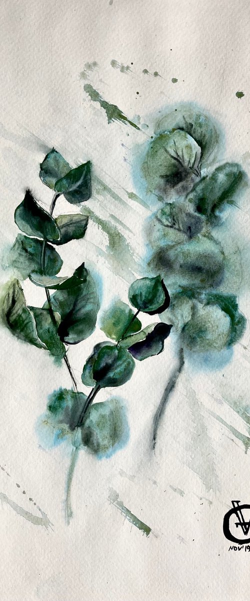 Eucalyptus by Valeria Golovenkina