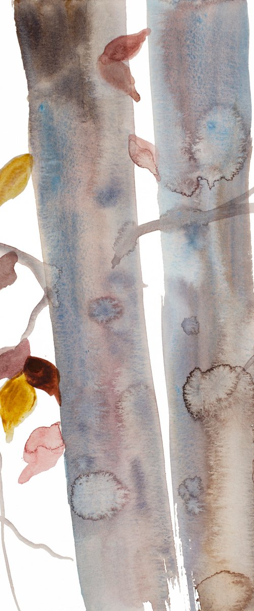 The Woods No. 117 by Elizabeth Becker