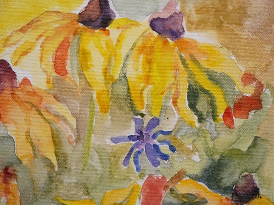 Wildflower Meadow: Rudbeckia & Cornflowers