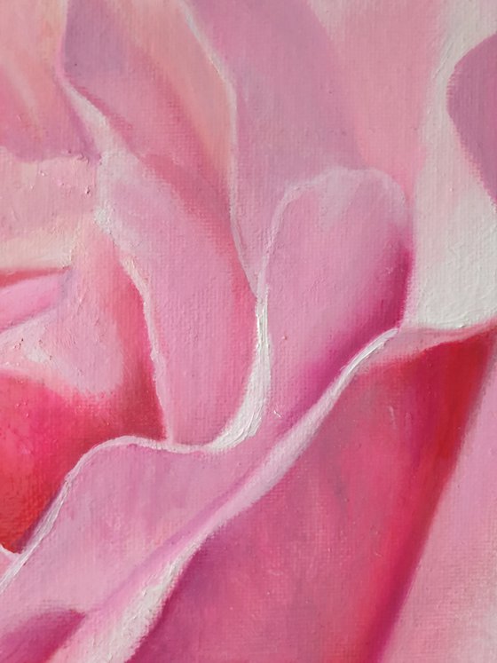 "Sounds of tenderness."  rose flower  liGHt original painting  GIFT (2021)