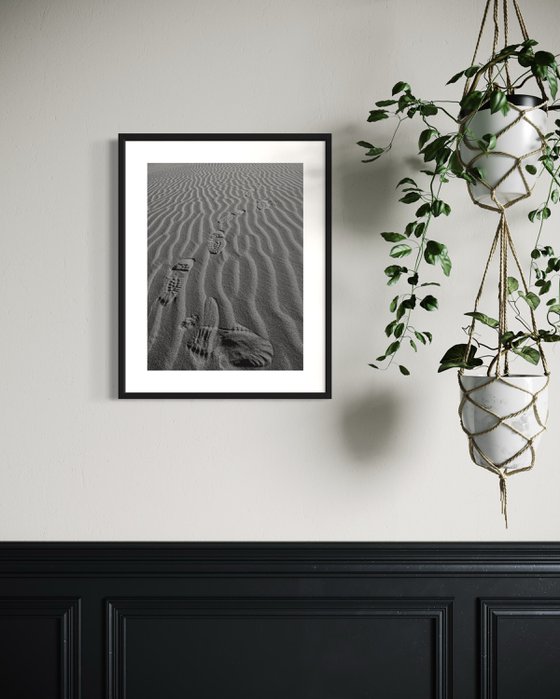 TRACKS ON THE SAHARA