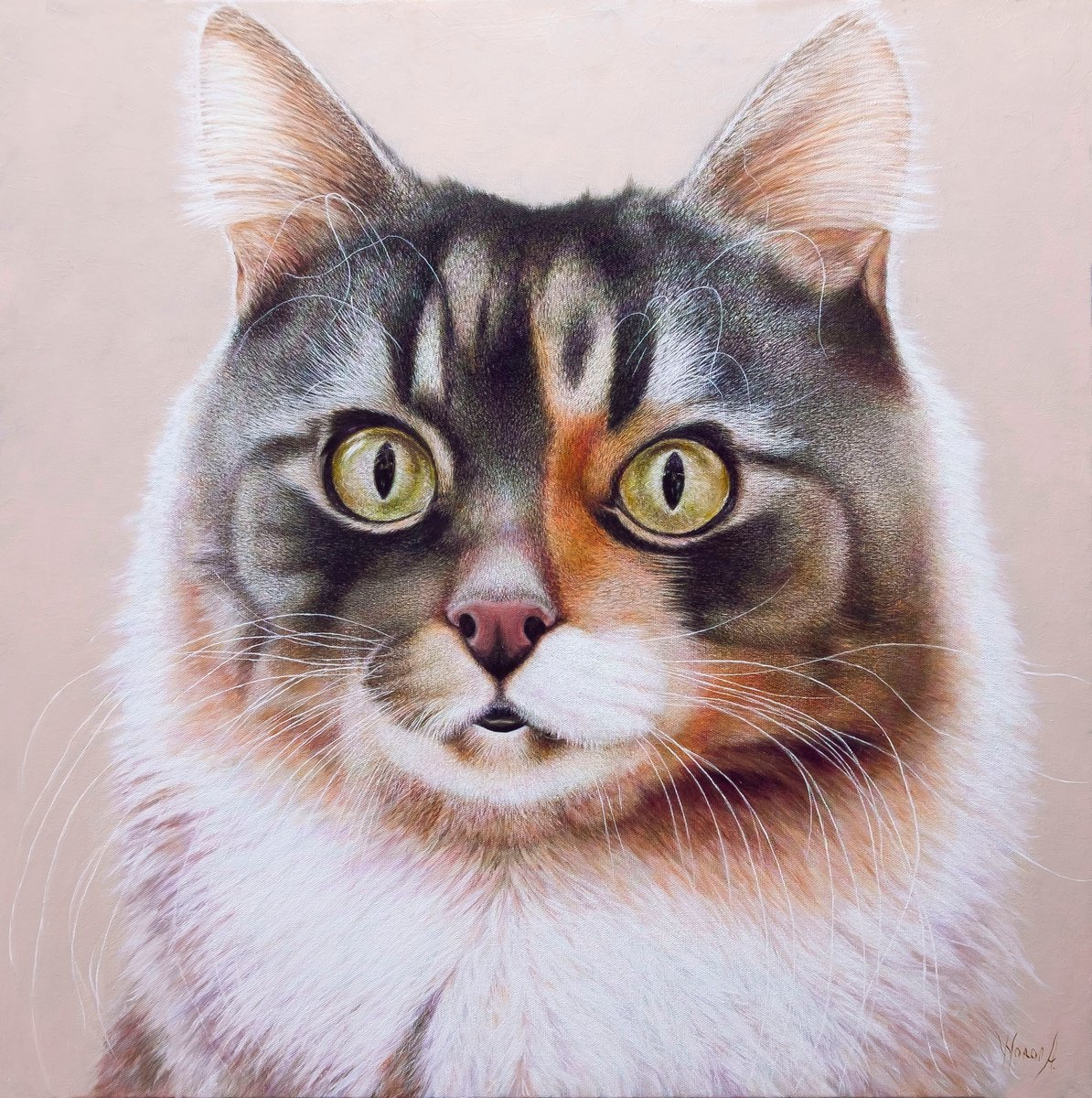 Animal Oil Painting By Anastasia Woron, 24 X 24, The Portrait Of Redhead Cat., Original Artwork